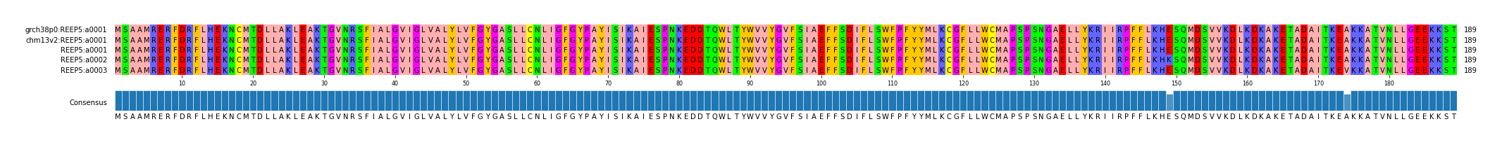 Multiple Alignments (by translate haplotype frequency)