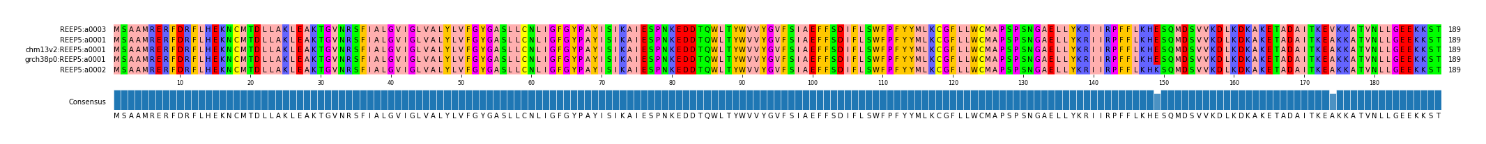 Multiple Alignments (by translate haplotype similarity)