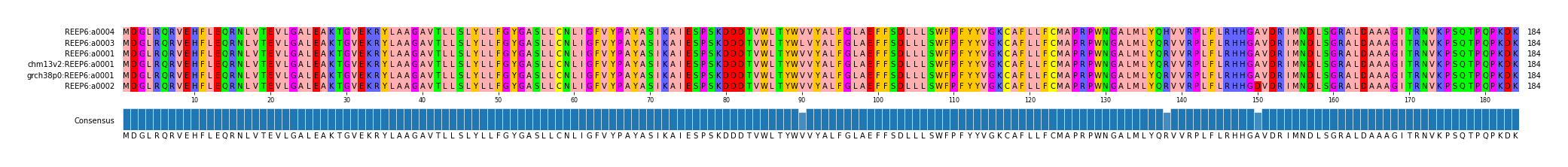 Multiple Alignments (by translate haplotype similarity)