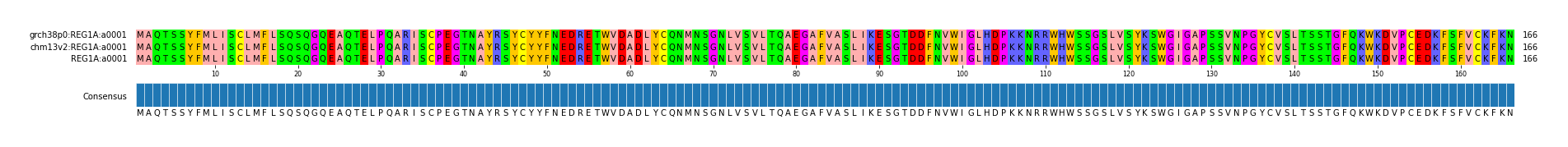 Multiple Alignments (by translate haplotype similarity)