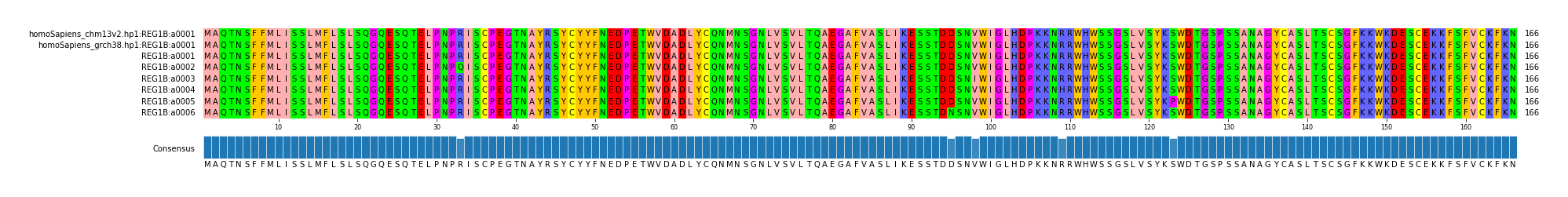 Multiple Alignments (by translate haplotype frequency)