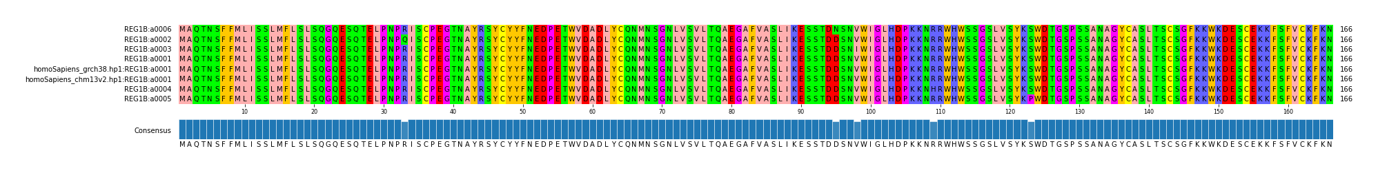 Multiple Alignments (by translate haplotype similarity)