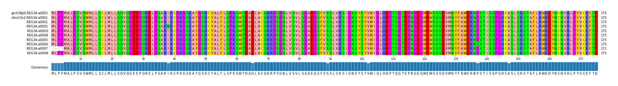 Multiple Alignments (by translate haplotype frequency)