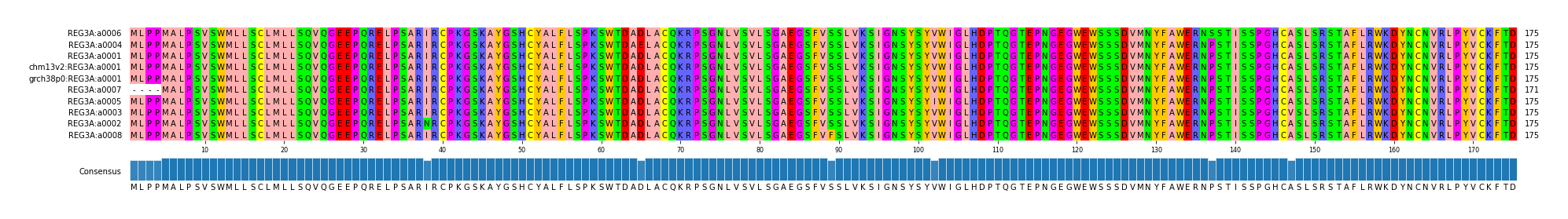Multiple Alignments (by translate haplotype similarity)