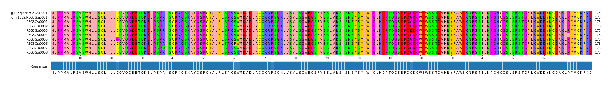 Multiple Alignments (by translate haplotype frequency)