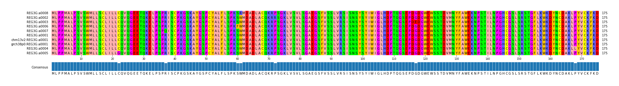 Multiple Alignments (by translate haplotype similarity)