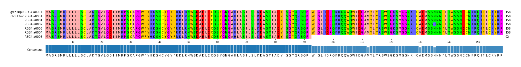 Multiple Alignments (by translate haplotype frequency)
