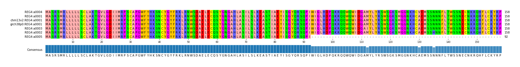 Multiple Alignments (by translate haplotype similarity)