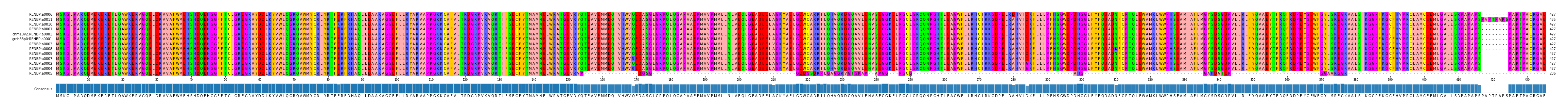 Multiple Alignments (by translate haplotype similarity)