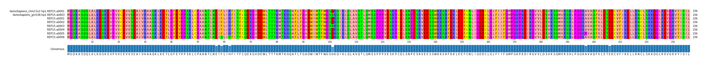Multiple Alignments (by translate haplotype frequency)