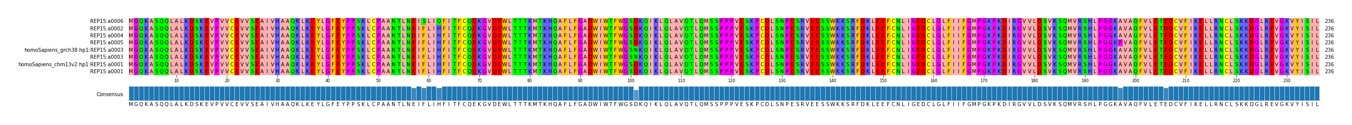 Multiple Alignments (by translate haplotype similarity)