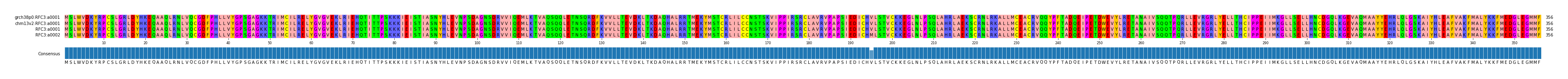 Multiple Alignments (by translate haplotype similarity)