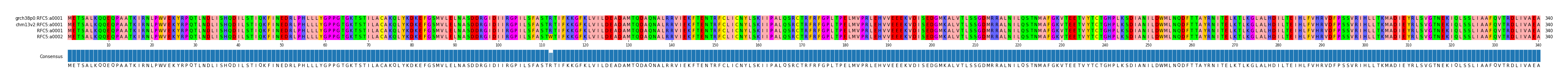 Multiple Alignments (by translate haplotype similarity)