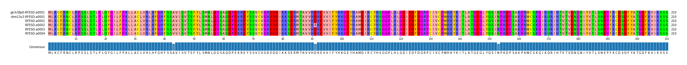 Multiple Alignments (by translate haplotype frequency)
