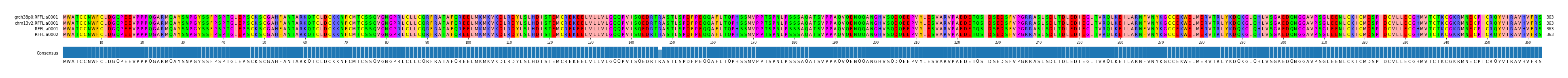 Multiple Alignments (by translate haplotype similarity)