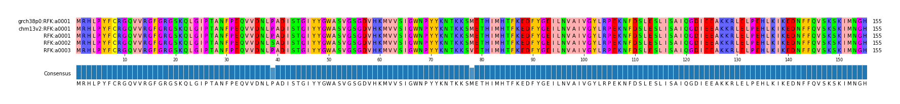 Multiple Alignments (by translate haplotype frequency)