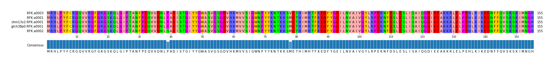 Multiple Alignments (by translate haplotype similarity)