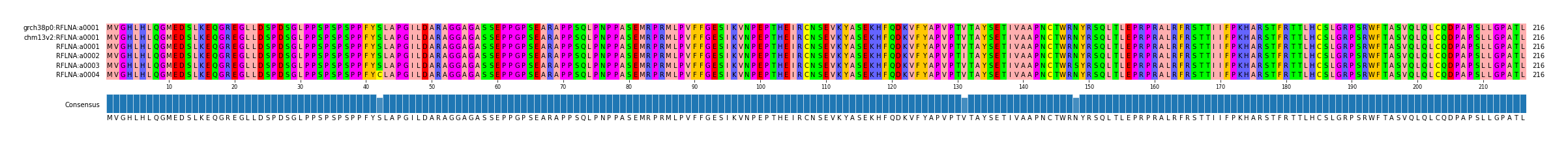 Multiple Alignments (by translate haplotype frequency)