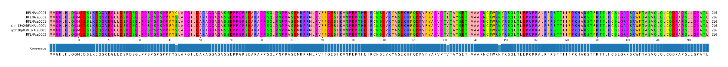 Multiple Alignments (by translate haplotype similarity)