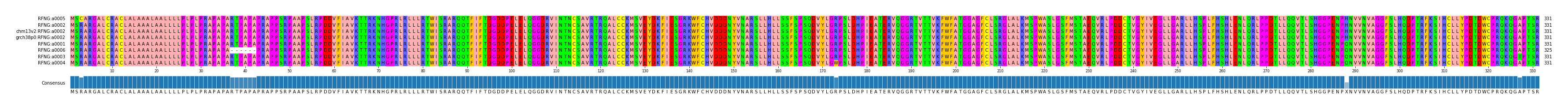 Multiple Alignments (by translate haplotype similarity)