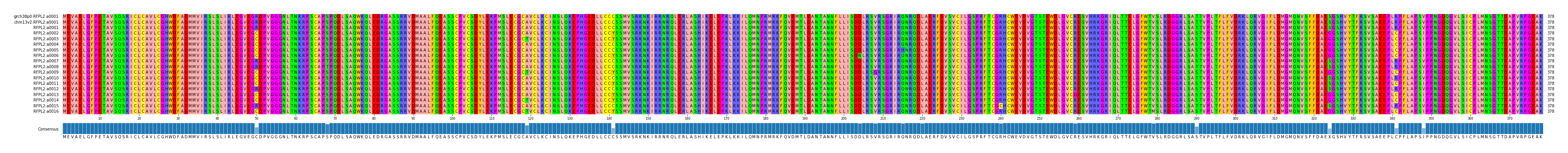 Multiple Alignments (by translate haplotype frequency)