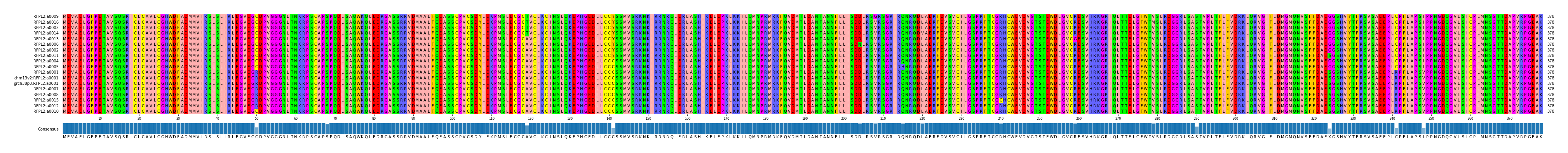 Multiple Alignments (by translate haplotype similarity)