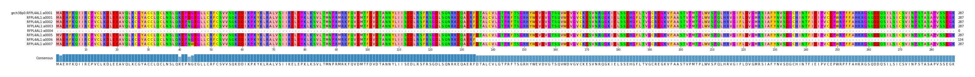 Multiple Alignments (by translate haplotype frequency)