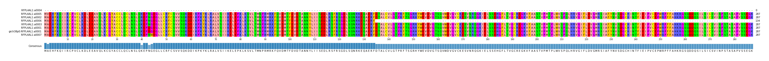 Multiple Alignments (by translate haplotype similarity)