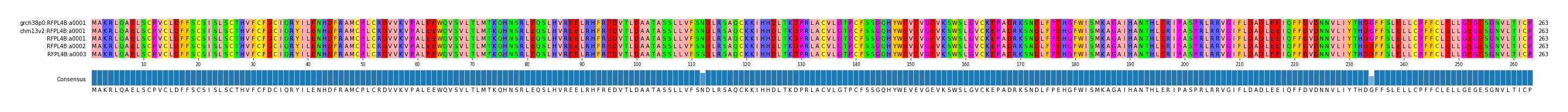 Multiple Alignments (by translate haplotype similarity)