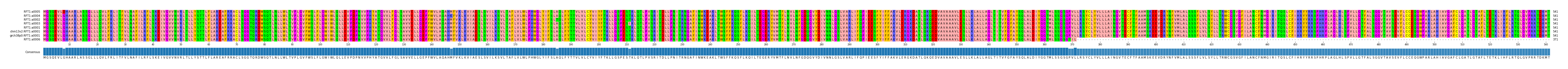 Multiple Alignments (by translate haplotype similarity)