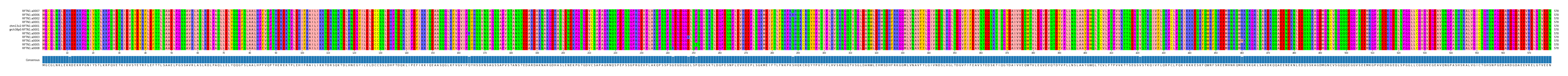 Multiple Alignments (by translate haplotype similarity)