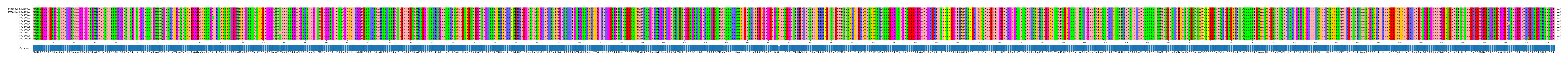 Multiple Alignments (by translate haplotype frequency)