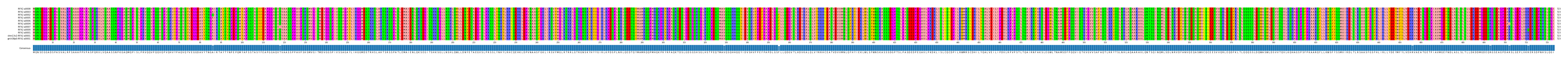 Multiple Alignments (by translate haplotype similarity)