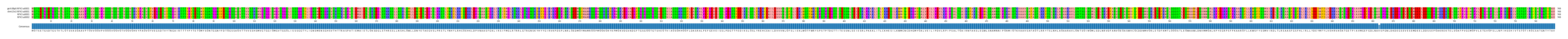 Multiple Alignments (by translate haplotype similarity)