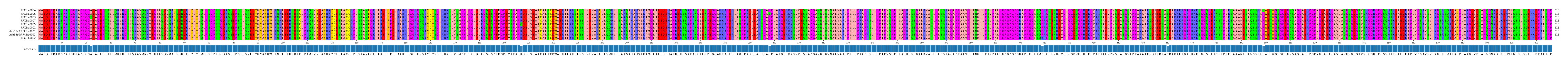 Multiple Alignments (by translate haplotype similarity)