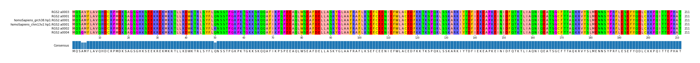 Multiple Alignments (by translate haplotype similarity)
