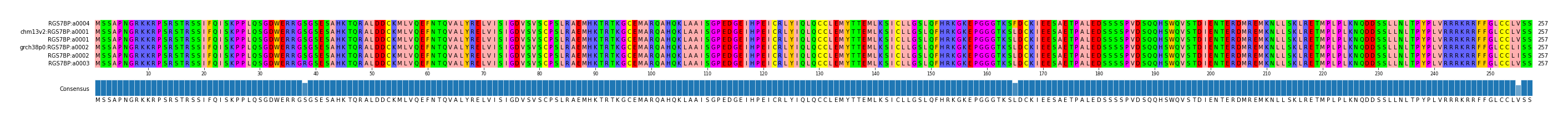 Multiple Alignments (by translate haplotype similarity)