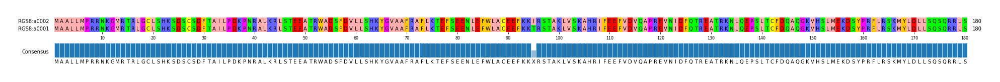 Multiple Alignments (by translate haplotype similarity)