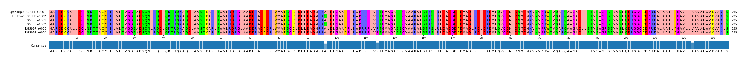 Multiple Alignments (by translate haplotype frequency)