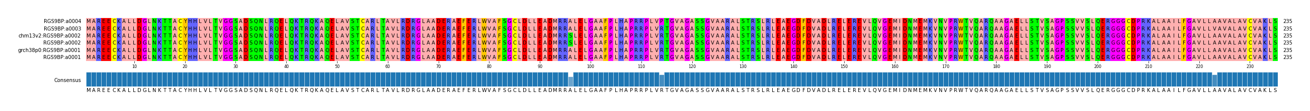 Multiple Alignments (by translate haplotype similarity)