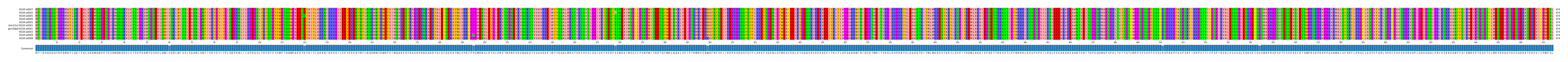 Multiple Alignments (by translate haplotype similarity)