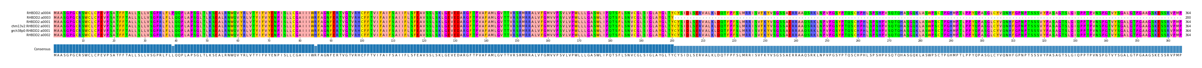 Multiple Alignments (by translate haplotype similarity)