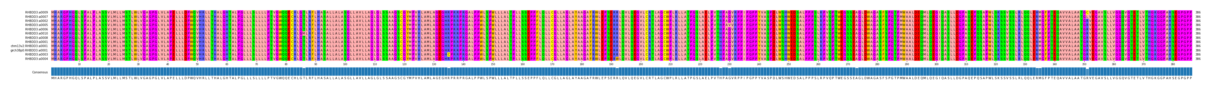 Multiple Alignments (by translate haplotype similarity)