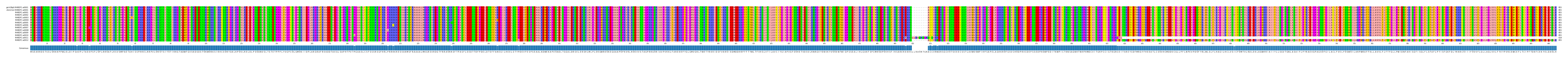 Multiple Alignments (by translate haplotype frequency)
