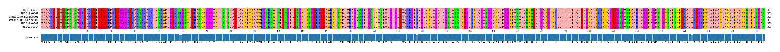 Multiple Alignments (by translate haplotype similarity)