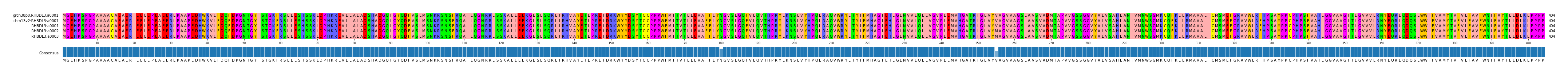 Multiple Alignments (by translate haplotype similarity)