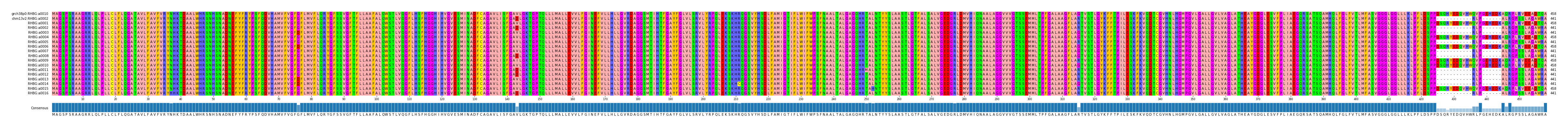 Multiple Alignments (by translate haplotype frequency)