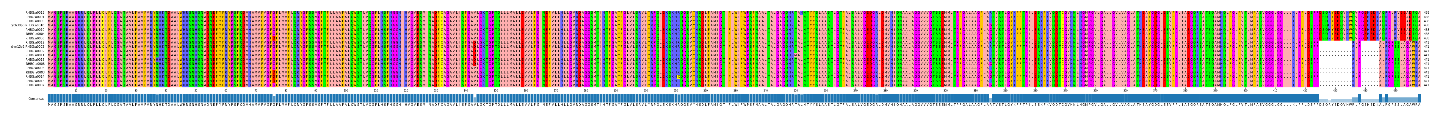 Multiple Alignments (by translate haplotype similarity)