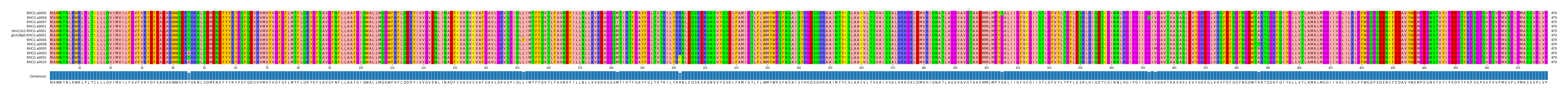 Multiple Alignments (by translate haplotype similarity)