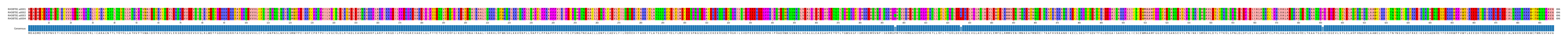 Multiple Alignments (by translate haplotype frequency)
